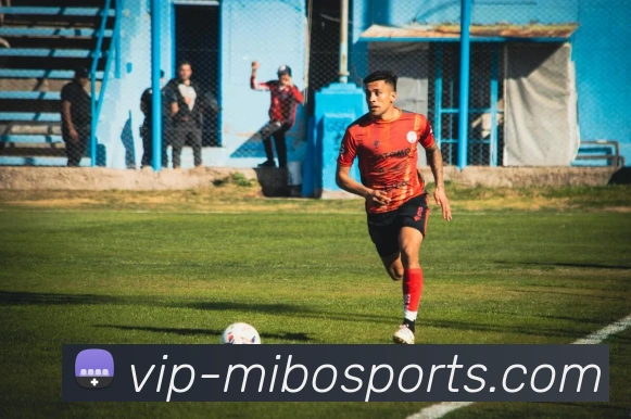 球赛投注平台生态图