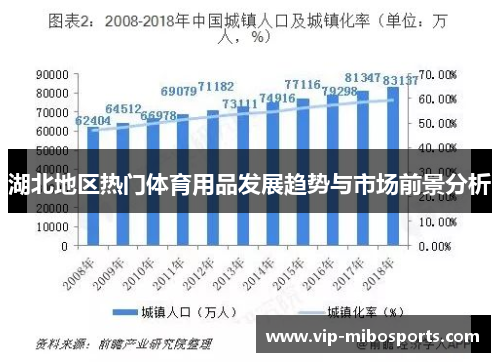 湖北地区热门体育用品发展趋势与市场前景分析